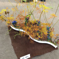 「花の美術館」千場由美子