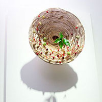 高木礼子　三椏壁面