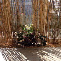 高木礼子 　花☆ななつのめそっど「留める」