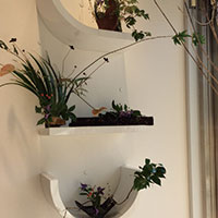 池田　薫　　花☆ななつのめそっど「挟む」