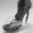 棘シリーズNO1「ピンヒール」