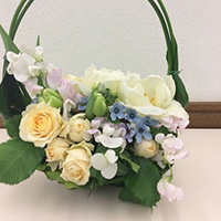 レッスン　バスケットボケー