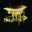 パフォーマンス「宙」