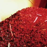 個展「歩く椅子」部分