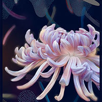 「花の美術館2019」　案内状