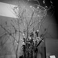 展示会・花の美術館2019