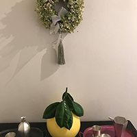 なかお画廊・ふゆごもり展