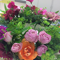 レッスン・村上優子