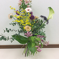 戸澤久仁子　レッスン　多種多色のボケー