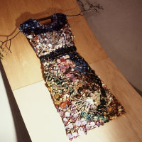 個展「ボタンDresｓA」