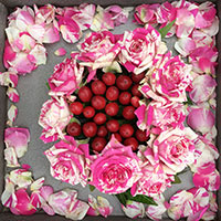 子供のクラスレッスン