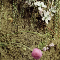 個展「遠い記憶」