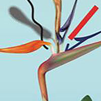 花の美術館　表