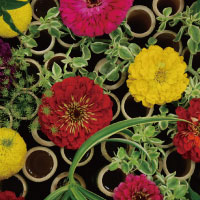 作品展　大久保香美講師