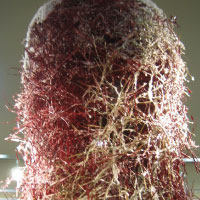 作品展　講師中嶋あずさ