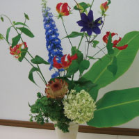 基礎科生徒　冨士本薫