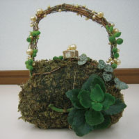 本科生徒　冨士本真由美