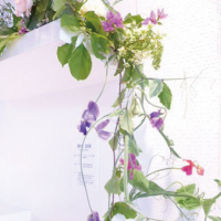 「花・おもちゃ箱」講師　野本志保