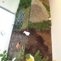 「花・おもちゃ箱」講師　池田薫